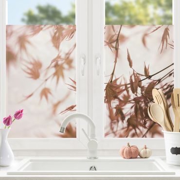 Fensterfolie - Sichtschutz - Ahornblätter in Herbstsonne - Fensterbilder