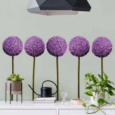 Wandtattoo - Allium Kugel-Blüten 5er Set