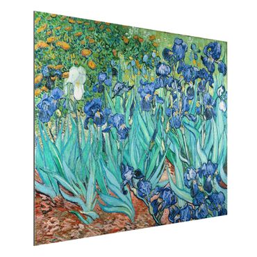 Alu-Dibond Bild - Vincent van Gogh - Iris