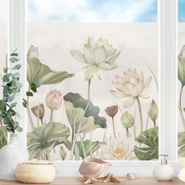 Fensterfolie - Sichtschutz - Anmutige Seerosen und sanfte Blätter - Fensterbilder