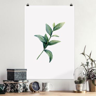 Poster - Aquarell Eucalyptus II - Hochformat 2:3