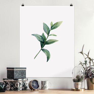 Poster - Aquarell Eucalyptus II - Hochformat 3:4
