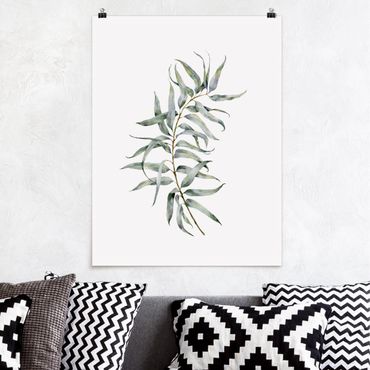 Poster - Aquarell Eucalyptus IV - Hochformat 3:4
