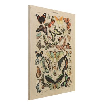 Holzbild - Vintage Lehrtafel Schmetterlinge und Falter - Hochformat 4:3