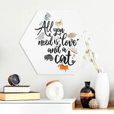 Hexagon Bild Forex - All you need is love and a cat