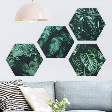 Hexagon Bild Forex 4-teilig - Tropische Pflanzen