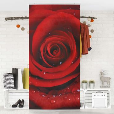 Rosenbild Raumteiler - Rote Rose mit Wassertropfen 250x120cm