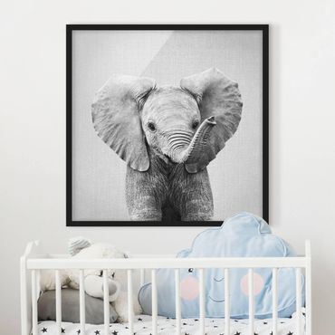Bild mit Rahmen - Baby Elefant Elsa Schwarz Weiß - Quadrat - 1:1