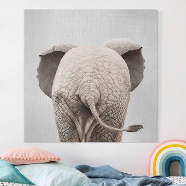 Leinwandbild - Baby Elefant von hinten - Quadrat 1:1