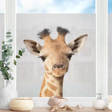 Fensterfolie - Sichtschutz - Baby Giraffe Gandalf - Fensterbilder