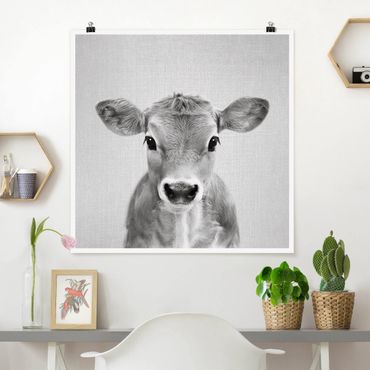 Poster - Baby Kuh Kira Schwarz Weiß - Quadrat 1:1