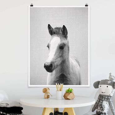 Poster - Baby Pferd Philipp Schwarz Weiß - Hochformat 3:4