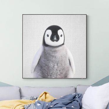 Wechselbild - Baby Pinguin Pepe
