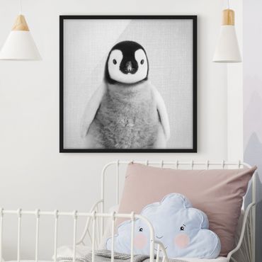 Bild mit Rahmen - Baby Pinguin Pepe Schwarz Weiß - Quadrat - 1:1