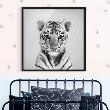 Bild mit Rahmen - Baby Tiger Thor Schwarz Weiß - Quadrat - 1:1