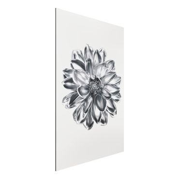 Alu-Dibond - Dahlie Blume Silber Metallic - Querformat