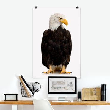 Poster - Eye of the Eagle - Hochformat 3:2
