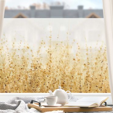 Fensterfolie - Sichtschutz - Blätterfeld im Sommer - Fensterbilder