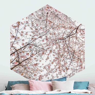 Hexagon Mustertapete selbstklebend - Blick in Kirschblütenzweige
