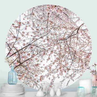 Runde Tapete selbstklebend - Blick in Kirschblütenzweige