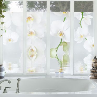 Orchideenbild Fensterfolie - Sichtschutz Fenster Wellness Orchidee - Blumen Fensterbilder