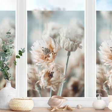 Fensterfolie - Sichtschutz - Blumen Nahaufnahme - Fensterbilder