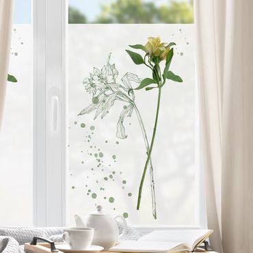 Fensterfolie - Sichtschutz - Botanisches Aquarell - Lilie - Fensterbilder