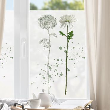 Fensterfolie - Sichtschutz - Botanisches Aquarell - Löwenzahn - Fensterbilder