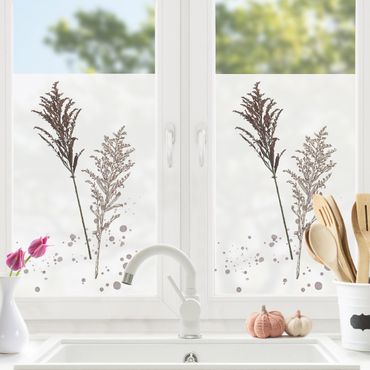 Fensterfolie - Sichtschutz - Botanisches Aquarell - Schwingelschilf - Fensterbilder
