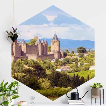 Hexagon Fototapete selbstklebend - Burg im Grünen