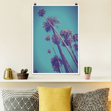 Poster - Tropische Pflanzen Palmen und Himmel - Hochformat 3:2