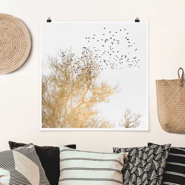 Poster - Vogelschwarm vor goldenem Baum - Quadrat 1:1