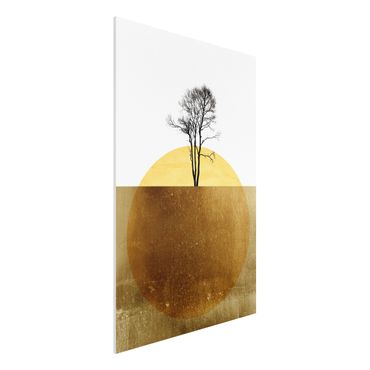 Forex Fine Art Print - Goldene Sonne mit Baum - Hochformat 3:2