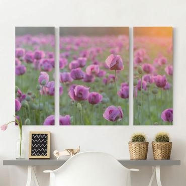 Leinwandbild 3-teilig - Violette Schlafmohn Blumenwiese im Frühling - Triptychon