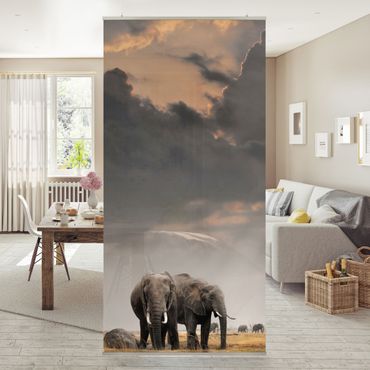 Raumteiler - Elefanten der Savanne 250x120cm