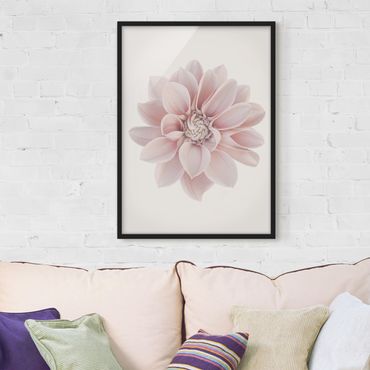 Bild mit Rahmen - Dahlie Blume Pastell Weiß Rosa - Hochformat