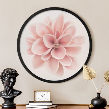 Rundes Gerahmtes Bild - Dahlie Rosa Pastell Blume Zentriert