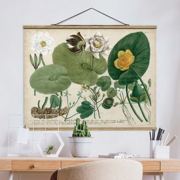 Stoffbild mit Posterleisten - Vintage Illustration Weiße Wasserlilie - Querformat 4:3