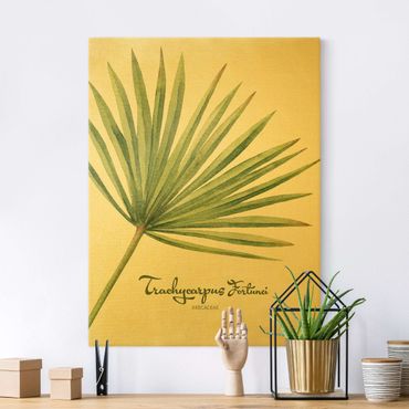 Leinwandbild Gold - Aquarell Botanik Trachycarpus fortunei - Hochformat 4:3