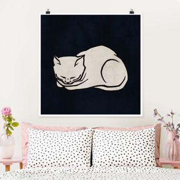 Poster - Schlafende Katze Illustration - Quadrat 1:1