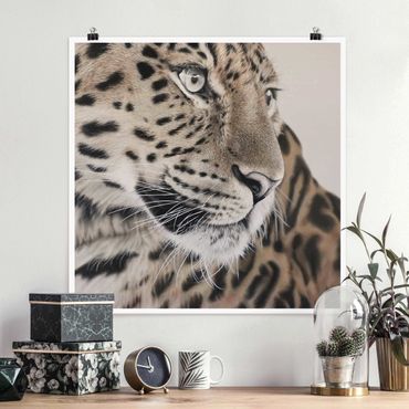 Poster - Der Leopard - Quadrat 1:1