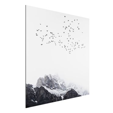 Aluminium Print - Vogelschwarm vor Bergen Schwarz Weiß - Quadrat 1:1