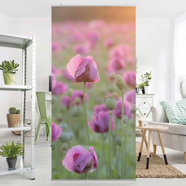 Raumteiler - Violette Schlafmohn Blumenwiese im Frühling 250x120cm