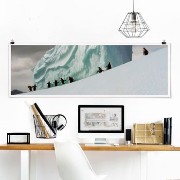 Poster - Arctic Penguins - Panorama Querformat
