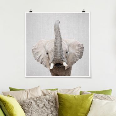 Poster - Elefant Ewald - Quadrat 1:1