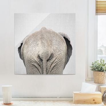 Glasbild - Elefant von hinten - Quadrat
