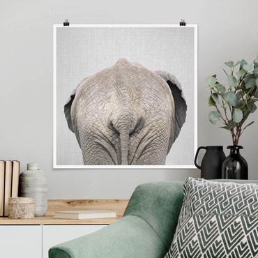 Poster - Elefant von hinten - Quadrat 1:1