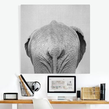 Leinwandbild - Elefant von hinten Schwarz Weiß - Quadrat 1:1