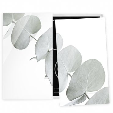 Herdabdeckplatte Glas - Eukalyptuszweig im Weißen Licht