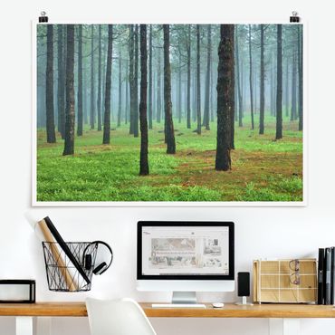 Poster - Tiefer Wald mit Kiefern auf La Palma - Querformat 2:3